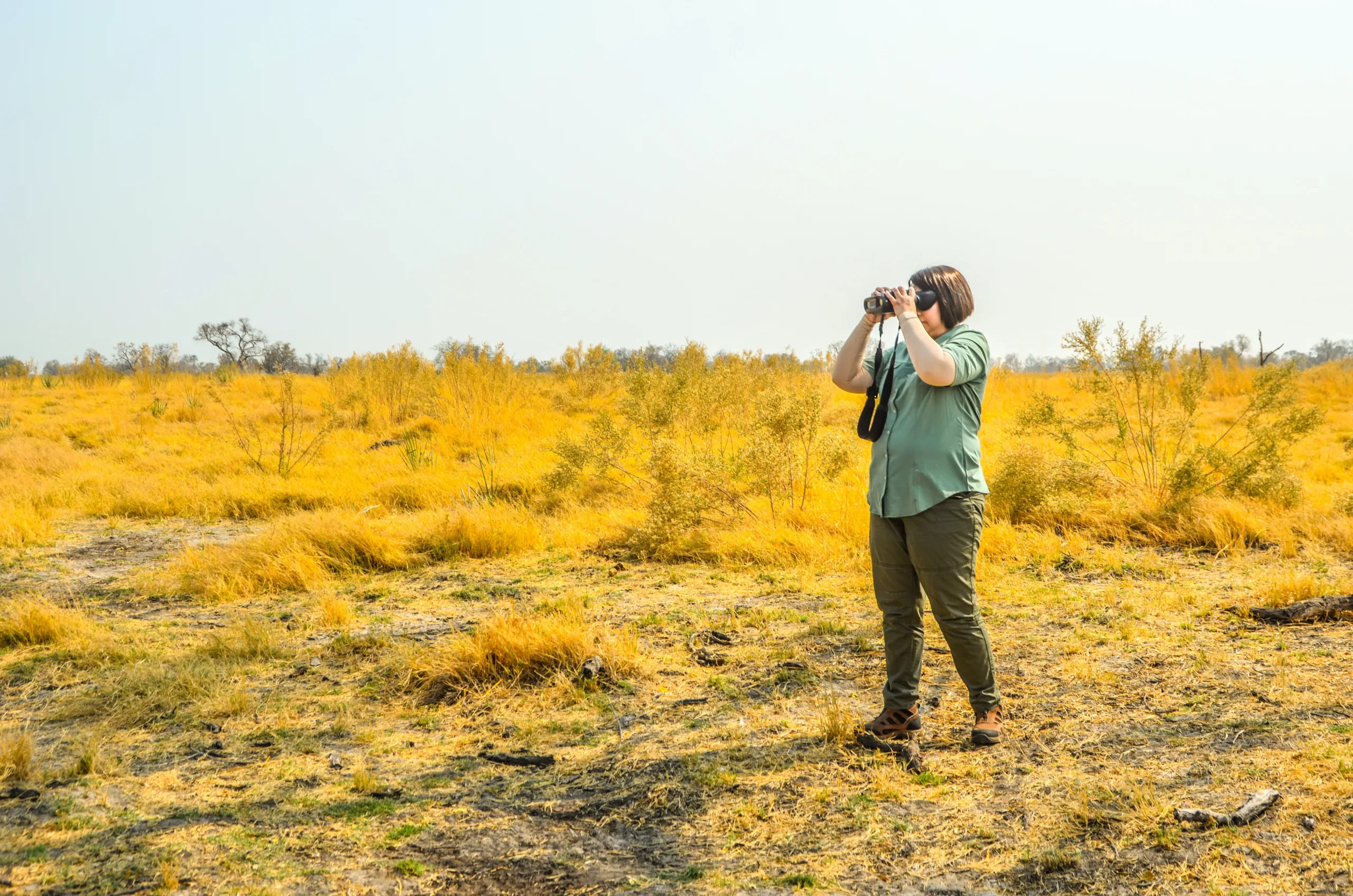 The AWS Analytics Zoo: Unwrapping the Jungle of Monitoring Tools